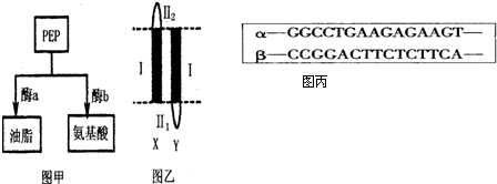 优质片源 优质片源画质音效顶级