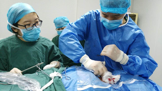 四库影视 集四部)的库影视概念