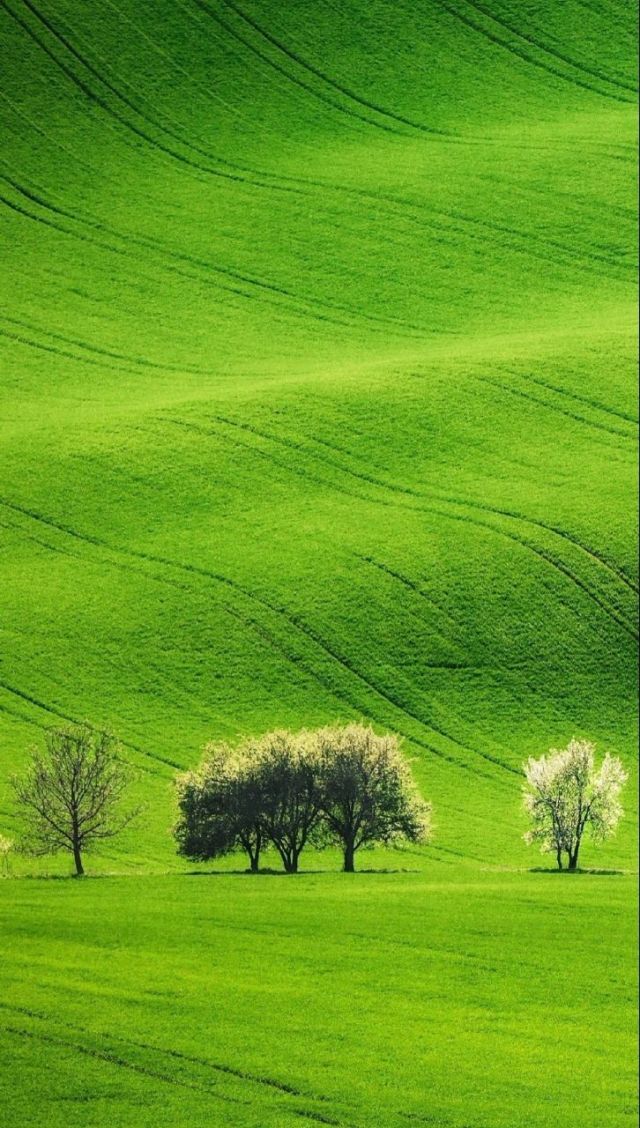 全网最姐姐 像知心朋友一样包容体贴