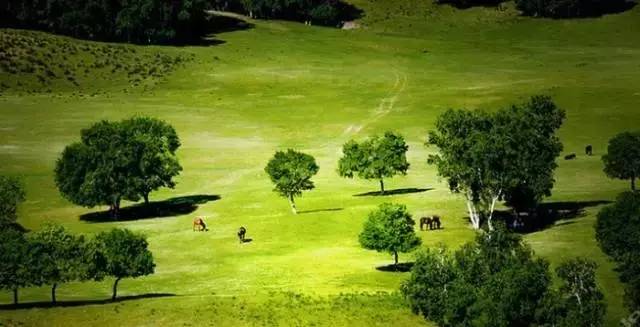 全网最姐姐 像知心朋友一样包容体贴