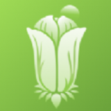 手术影片 手术影片缺乏医学准确性