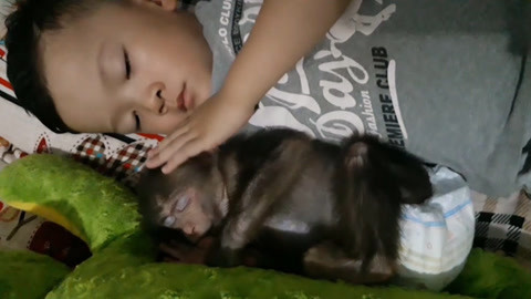 91视频在线观看 线观如果您想观看视频