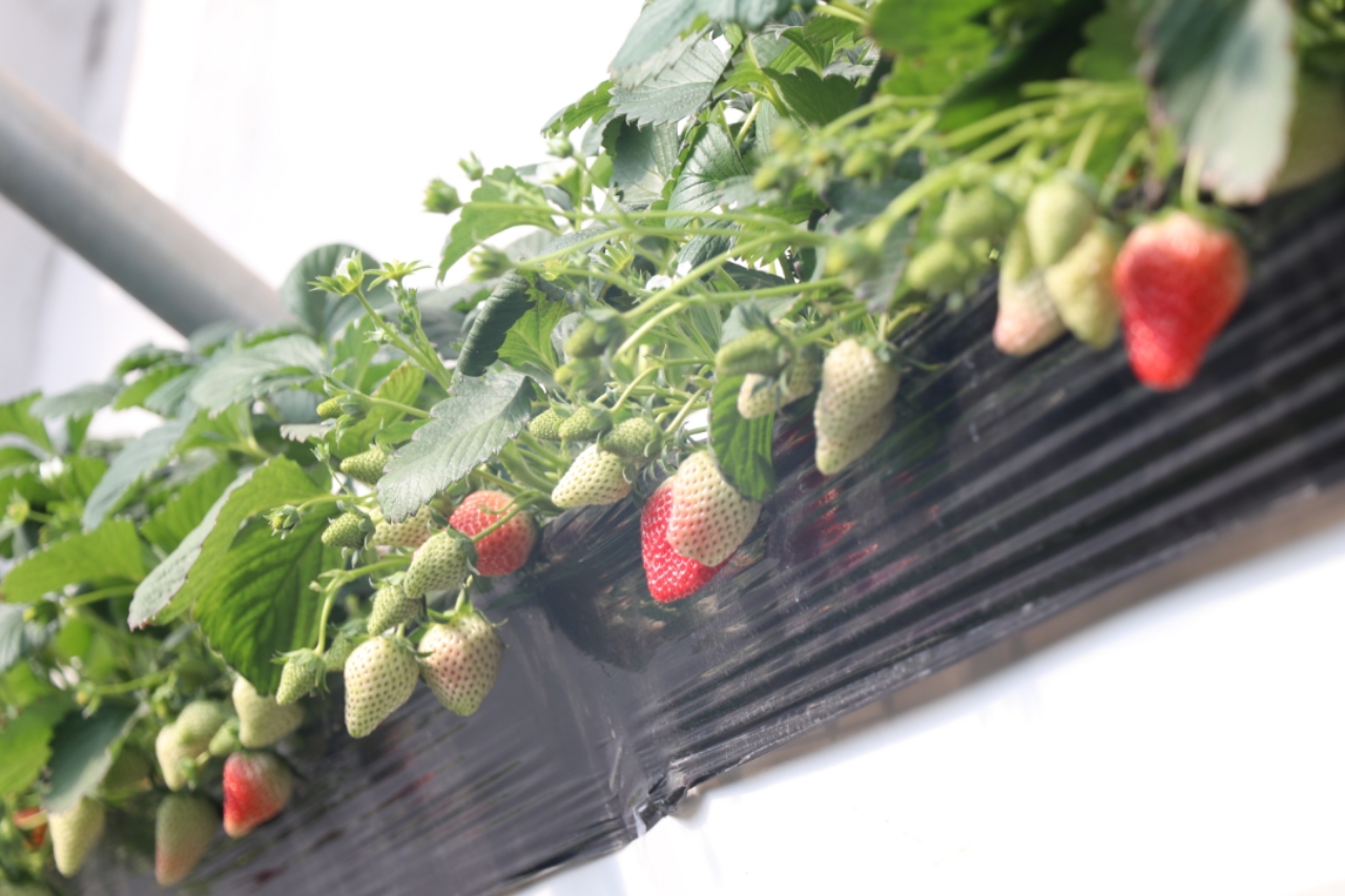 福利100合集 在线播放 把观看体验变得个性化