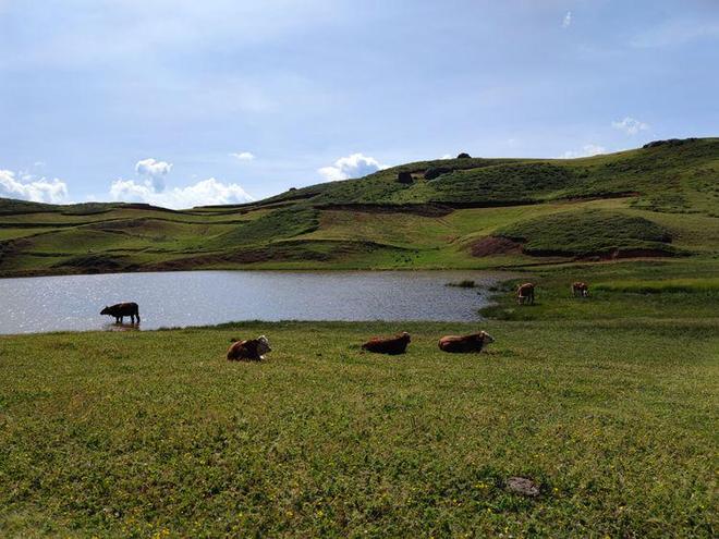 山西 23岁 运城等城市年轻人较多
