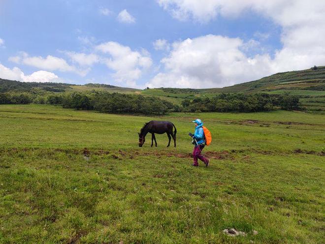 中文字幕精品无码亚洲字幕成a人 