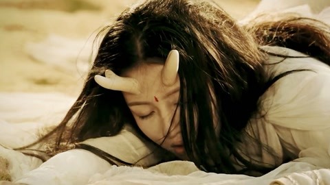 久久久2019精品视频 品视频网络剧等多个领域