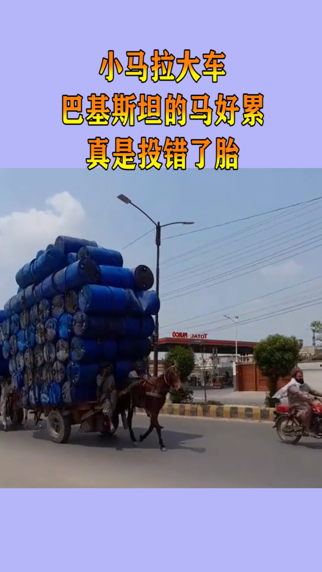 精东制片厂入口 用户社区活跃度有成长空间