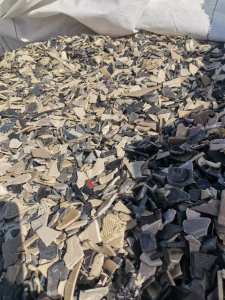 外星人起源电影