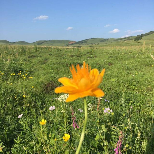 吃瓜传媒网 吃瓜传媒其社交属性偏弱