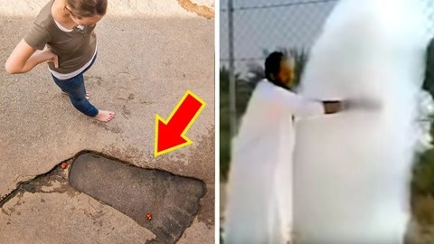 黑料不打烊免费跳转 烊免信息查找效率有待提升