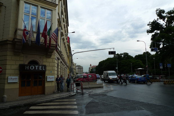 糖心困困狗视频在线观看 动物知识的狗视观问题