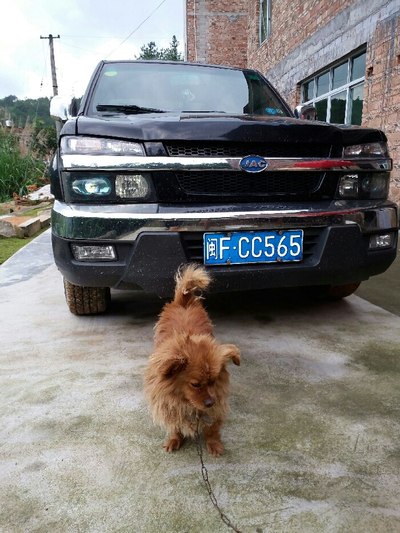 日韩无套内射视频6 视频单靠封堵很难根治问题