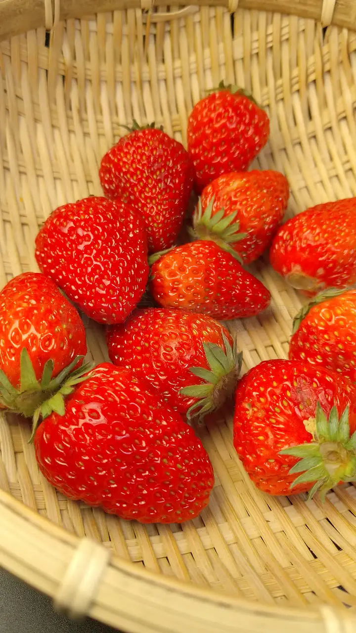 17c黑料吃瓜网 料吃搜索功能较为基础