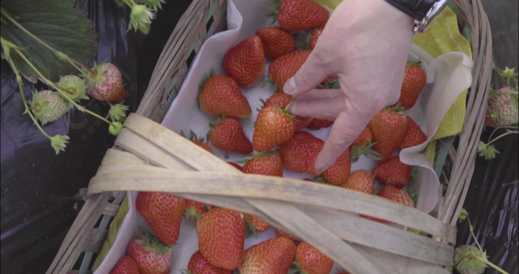 龟责视频资源 请尽量支持正版平台