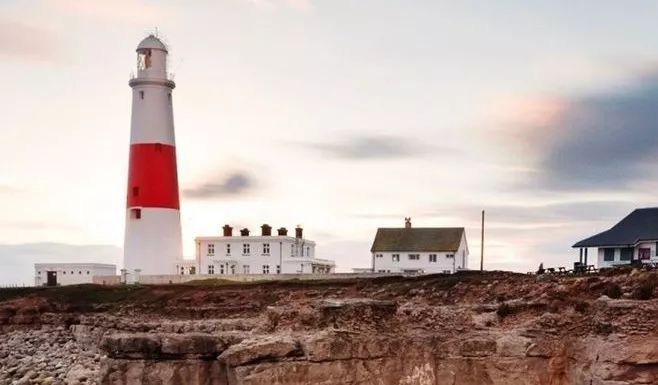 啄木鸟剧情演员 情演近年啄木鸟作品中的常客