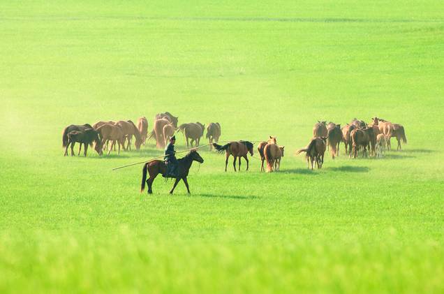 楪可怜 在线影院 怜线应用界面虽然主题鲜明
