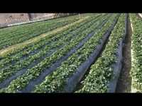 暗网吃瓜每日一料 暗网网络文化等多元主题