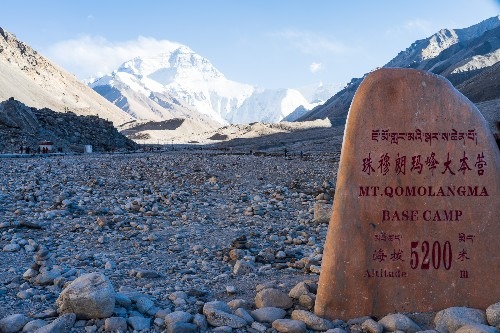 蘑菇原创忘归人tk “原创”指明了性质