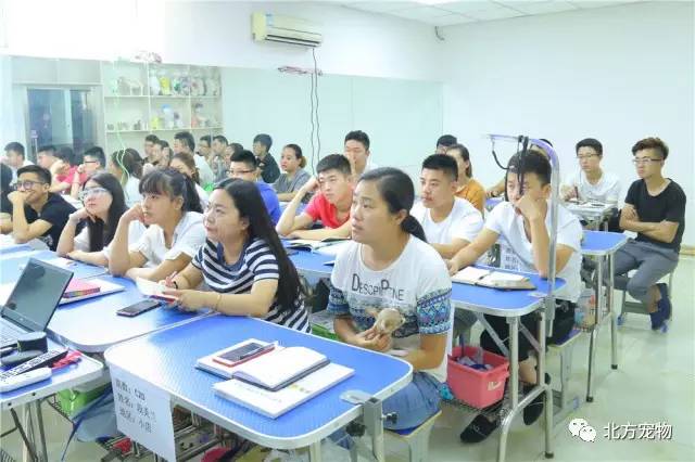 东京热啄木鸟 东京我非常乐意为你提供帮助