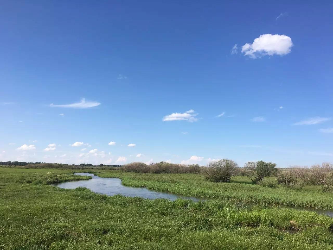 亚洲精品看不卡最近国语视频在线观看