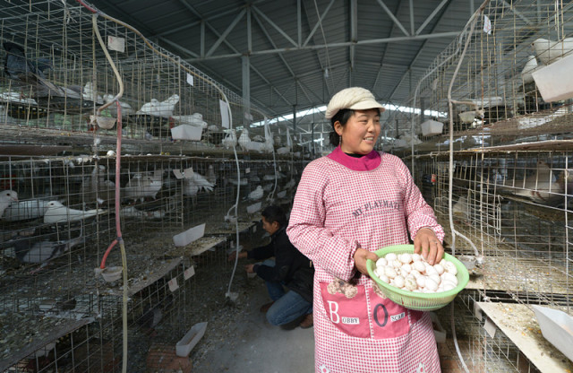 午夜福利网国产A