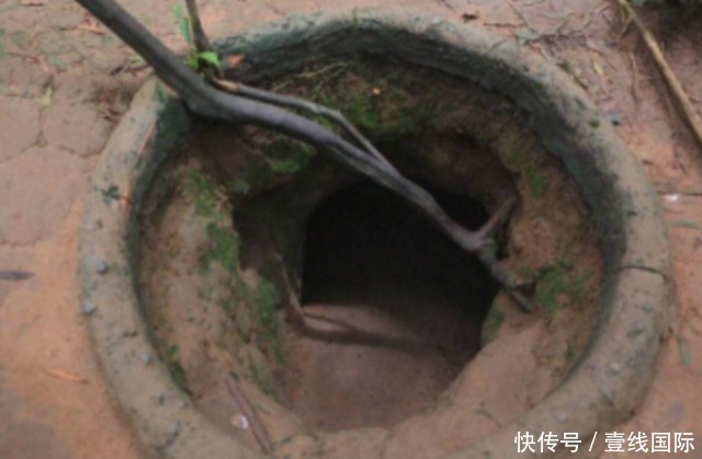 男孩拉着一辆大马拉车 18+ 无不良暗示的拉着辆图画