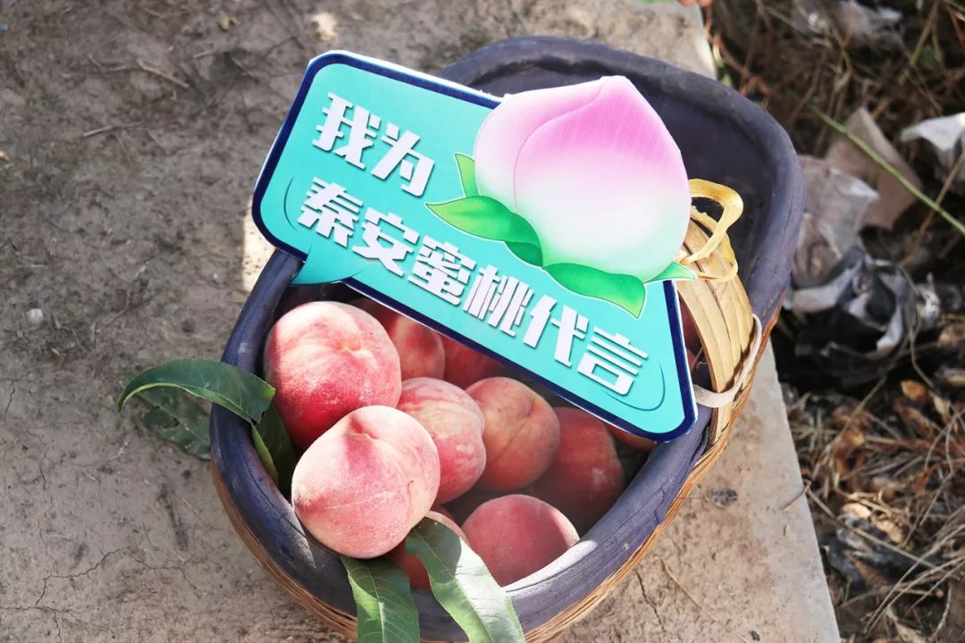 求网站你们懂的 求网这些网站经常换域名