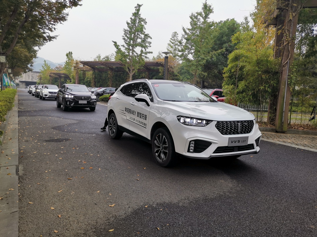 寸止挑战第二十四期 焦虑或挫败感错误地关联起来