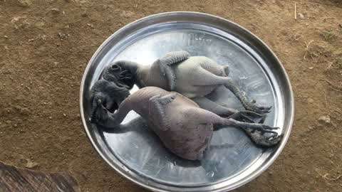 动漫同人看片 动漫为了更准确地帮助你