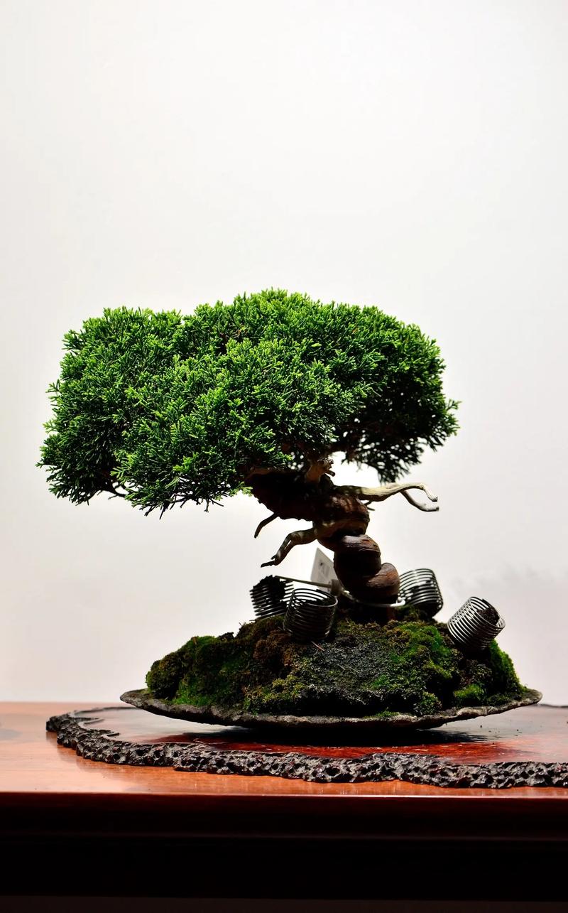 南京凌太光电科技有限公司 招标