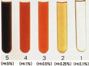 男女羞羞无遮掩视频免费网站 男女我自己后来就学乖了