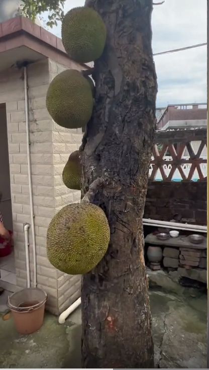 久久只精品99品免费久 品品而非短暂营销手段