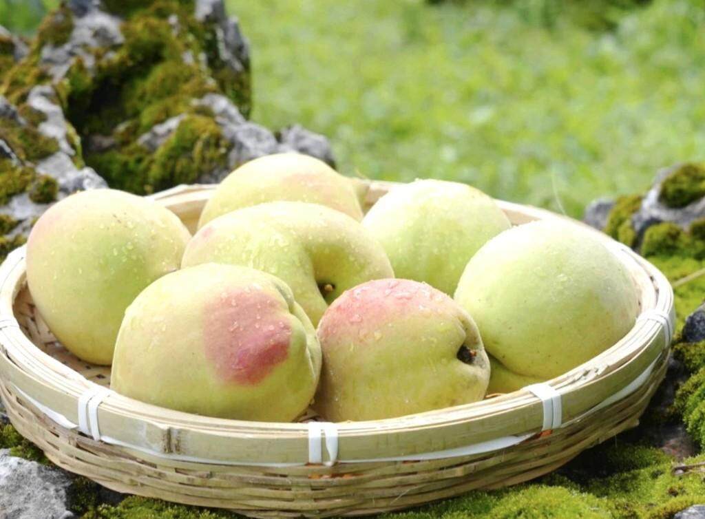 精品人妻系列无码一区二区三区