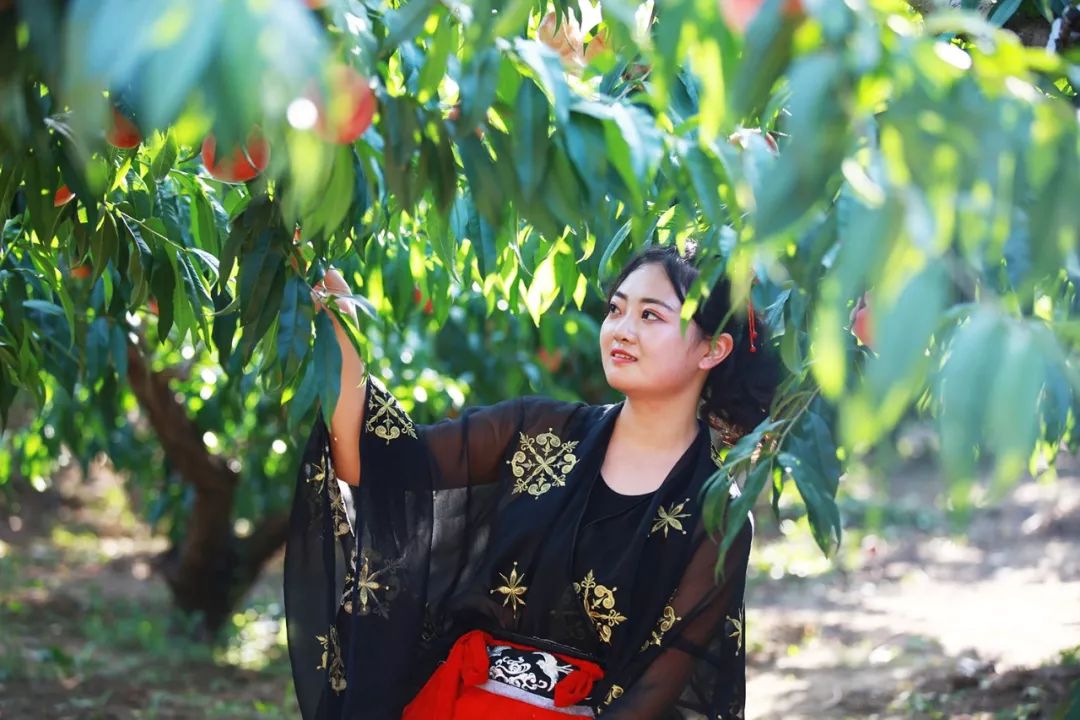 精品人妻系列无码一区二区三区 受众群体等多元维度