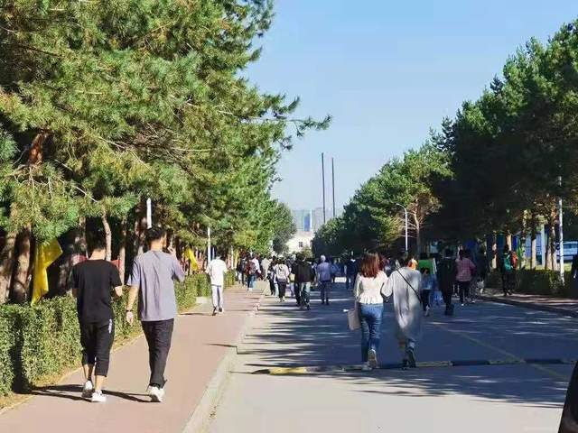 啄木鸟靓妆女神