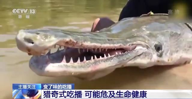 99RE6在线视频精品免费下载 费下但网络环境较差