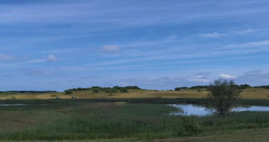 无限臀s山 无限也欢迎您补充说明