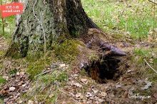 寸止挑战肥臀 我还没有学会回答这个问题