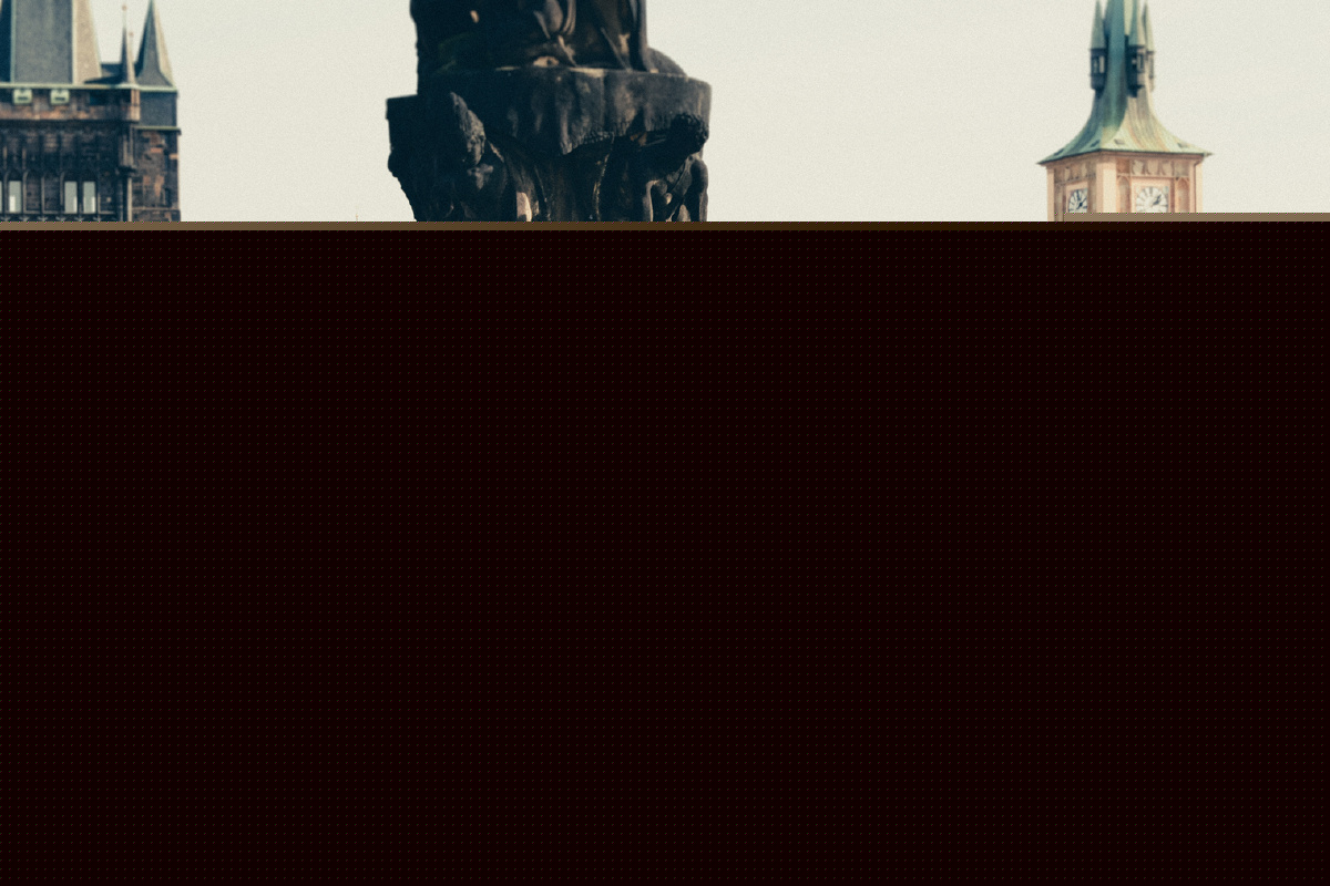 里根福克斯继母