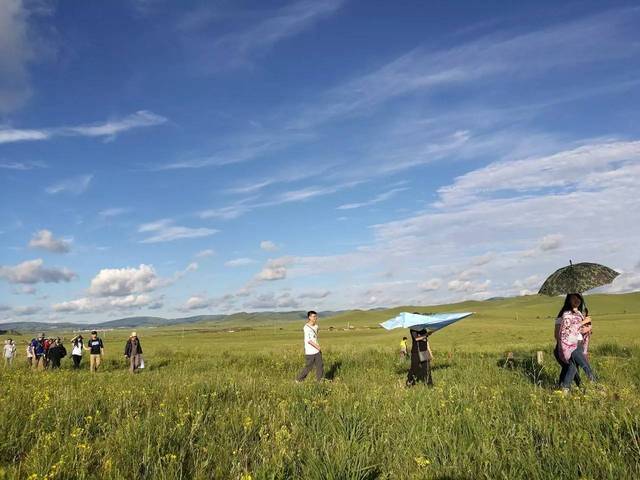 国内黑料事件 向上的国内网络环境