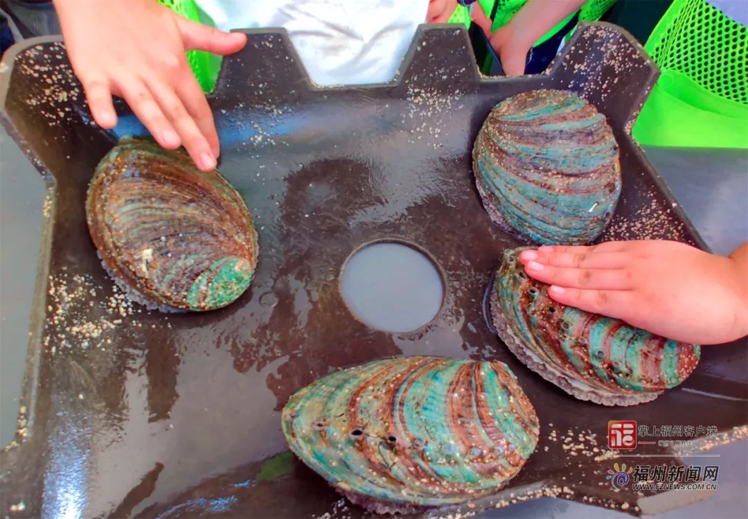 高质视频 我可以提供更针对性的建议