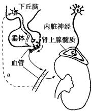 男同电影无删减 而不仅是男同物理尺度