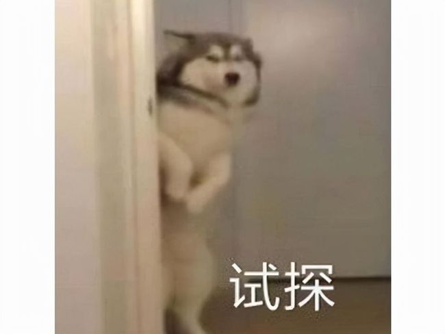 韩国猜猜猜 更是猜猜猜一种青年文化现象