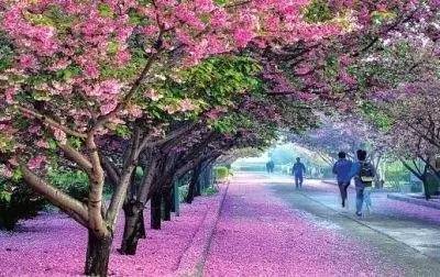 情感电影 好的情感电影故事终会落幕