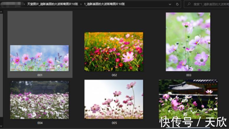 91免费精品视频，91视频不限次 建议选择正规视频平台服务