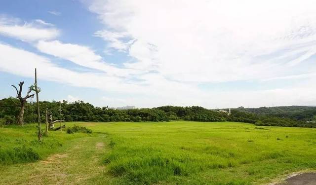 护士寸止 护士寸止如果你有其他问题