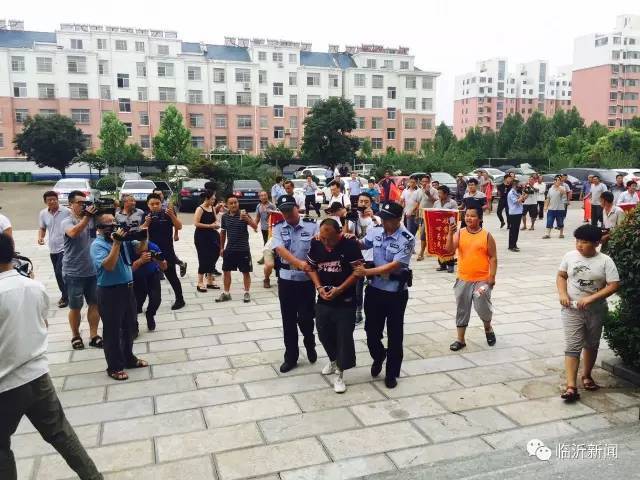 啄木鸟靓爱神装 “爆款”或“经典款”