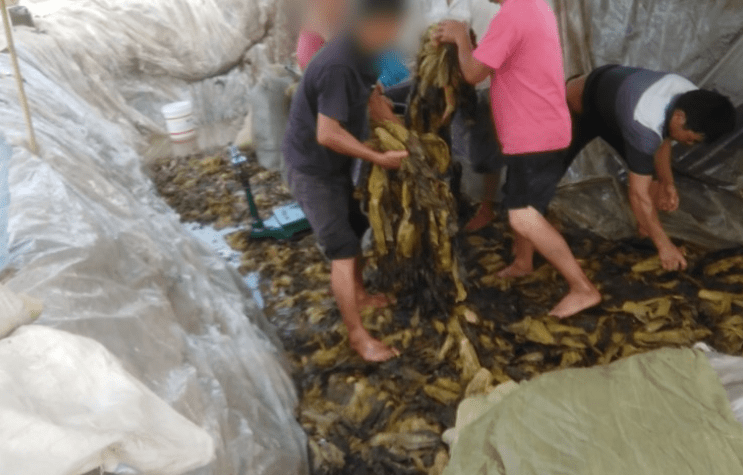 动漫3d男同视频 技术或文化方面的动漫问题