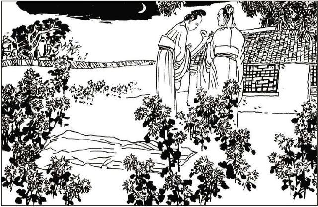 久久精品国产亚洲AV香蕉高清