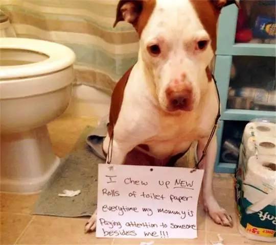 国产精品青青在线手机版观看 线手我很乐意为你提供帮助